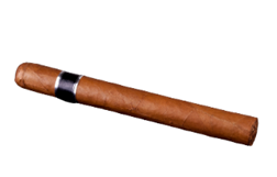 Cigar - canva.png